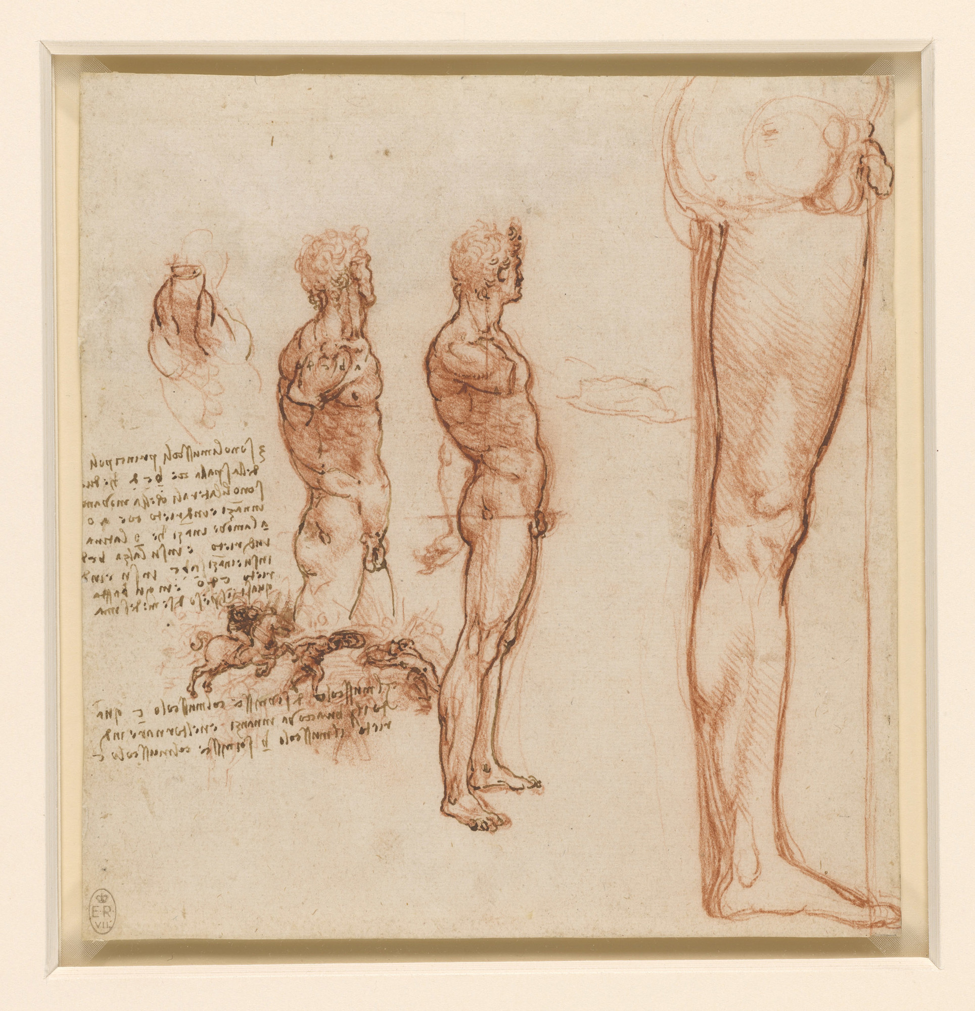 Figure Drawing